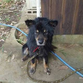 大人しくて優しいコ