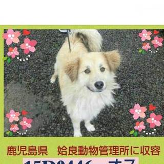 金曜処分！助けて下さい!!