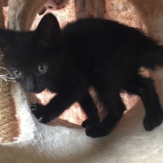 生後1ヶ月26日「とても可愛く元気です」