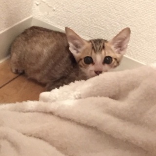 保護しています