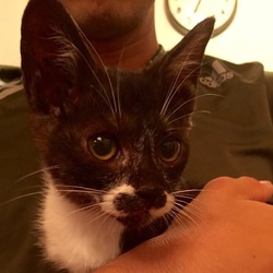 ペットのおうちデビュー★ミ