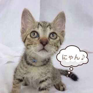 人が大好き❤︎太郎君。２ヶ月