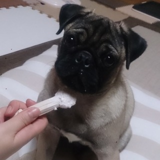 幸せにして頂ける方を募集します。