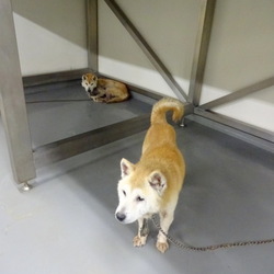 「命の期限は8月5日・・→卒業できました！」サムネイル1