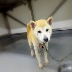 「命の期限は8月5日・・→卒業できました！」サムネイル3