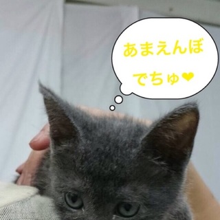 ちっちゃい女の子❤︎ぐーぐーちゃん