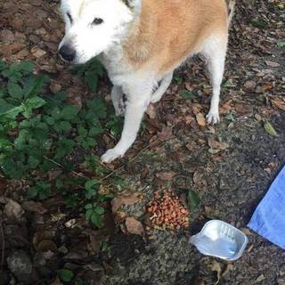 大人しくて優しいコ