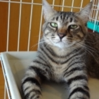 やんちゃな元気盛りイケメン君です。