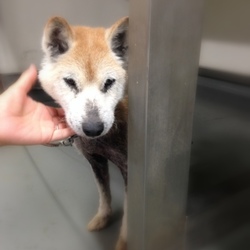 「命の期限は8月5日・・→卒業できました！」サムネイル2