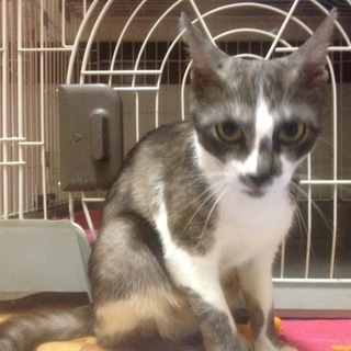 有難う御座いました