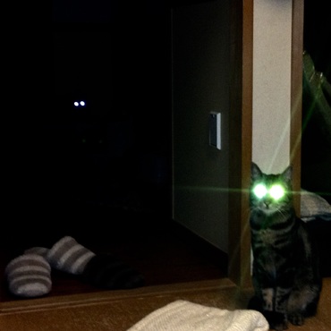 最強ビーム（;￣O￣）