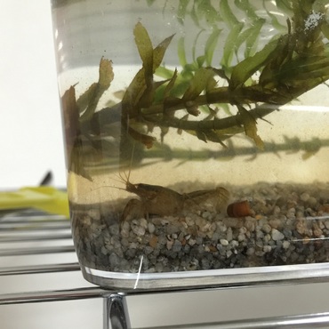 成長してる…！