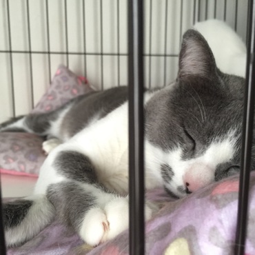 イケメンの寝顔はこちら。