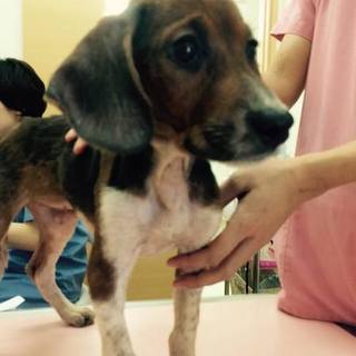 ご応募有難う御座いました