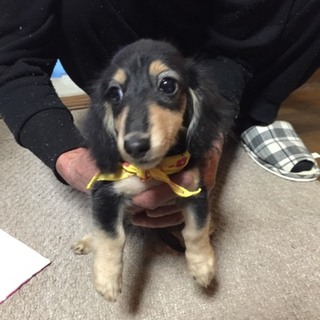 まだ1歳になったばかりの元気な女の子