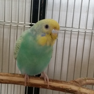 ご応募ありがとうございました