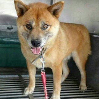 この子の命を救ってください。