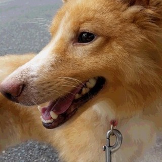 家族ができました！！