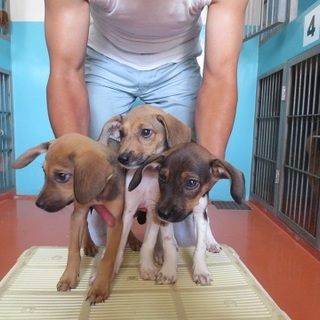 3匹ともそれぞれ家族ができました！！