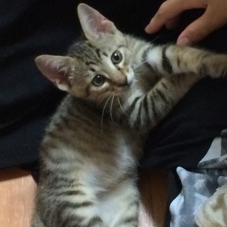 甘えん坊の男の子