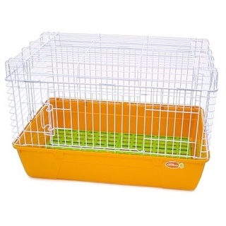 子ウサギの里親募集♡