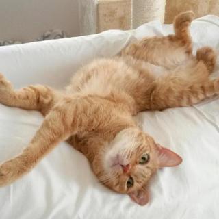 ☆かわいいオレンジカラーの女の子です☆