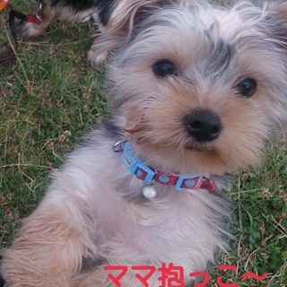 多数のお申込み感謝します一旦終了させて頂きます