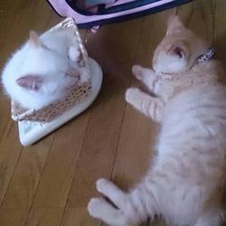 保護してちょうど１ヶ月