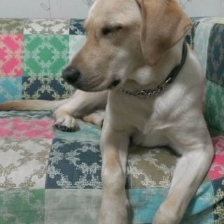 多数応募ありがとうございました