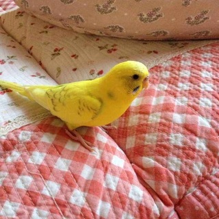 たくさん応募していただきありがとうございました