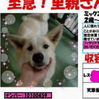 この子の命を救ってください。