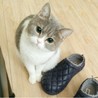 みろくん