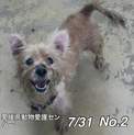 愛媛県動物愛護センターに保護されています！