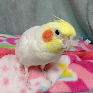 良縁に恵まれました。ありがとうございました!!