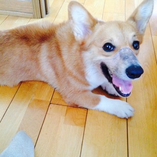 人が大好き！れおです。