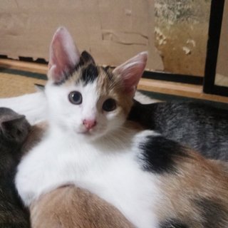 生後2カ月☆赤ちゃん