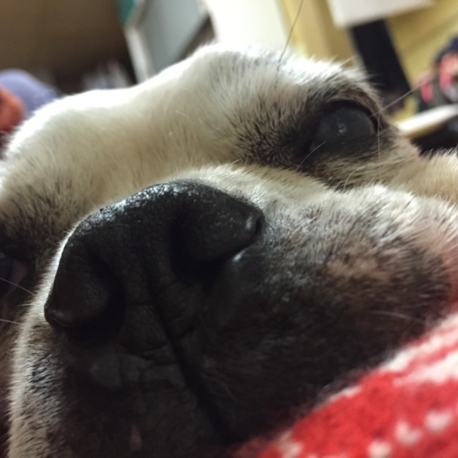 一般社団法人ラッキースターのカバー写真