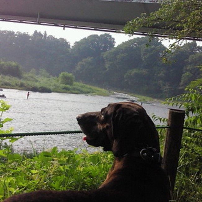 sattanのカバー写真