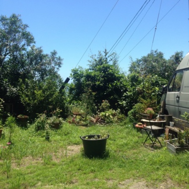 テラオのカバー写真