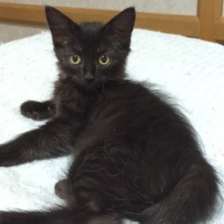 優しい家族の元に行きました❗️