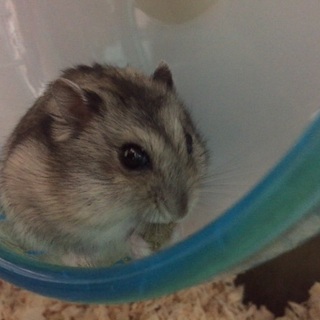 ご連絡多数のため、一度締め切らせて頂きます