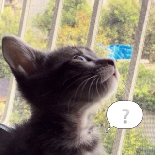 甘えんぼ♪ウーフ君