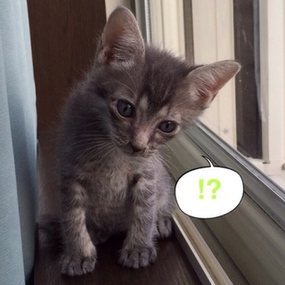 お膝のお供♪ユニ君