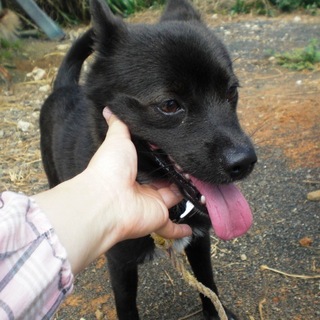 この子の命を救ってください。