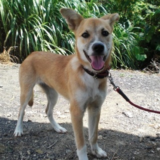 この子の命を救ってください。