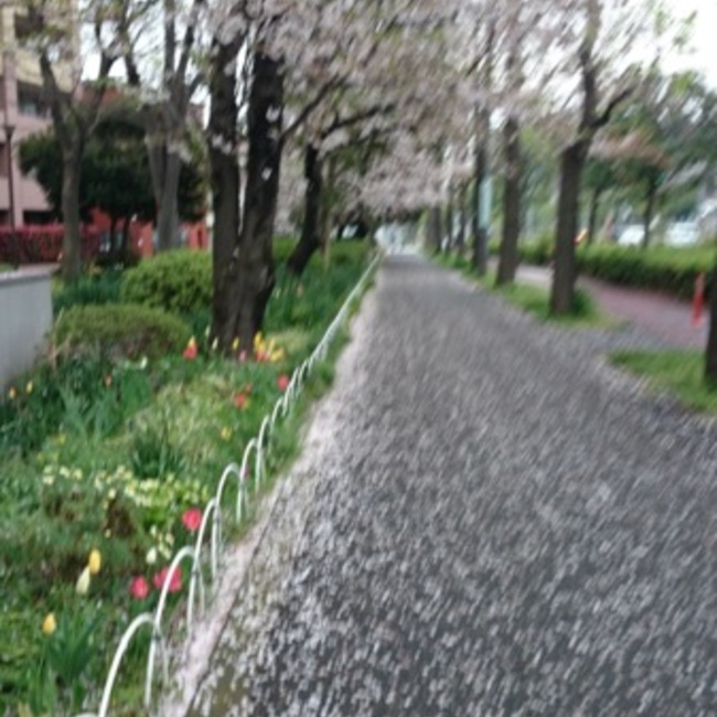 LizzyLeighのカバー写真