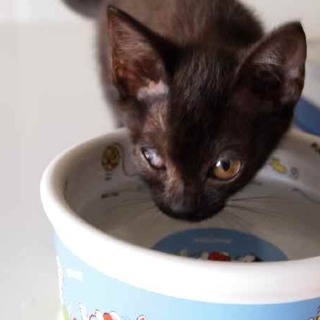 片目だって充分可愛い2ヶ月