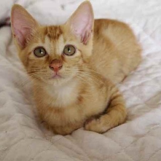 大きくなって無事良縁に恵まれました、