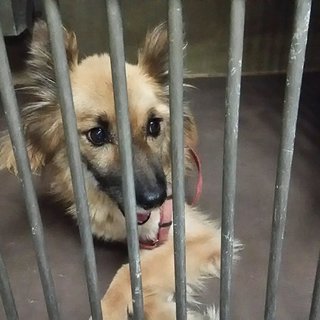 新しい家族のお迎えがありました！！