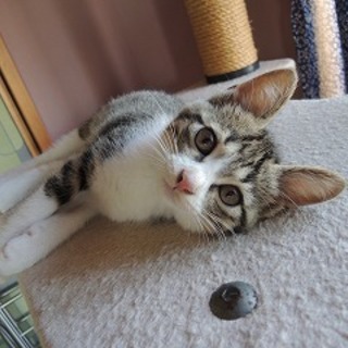 おっとりマイペース　ナポリちゃん♪